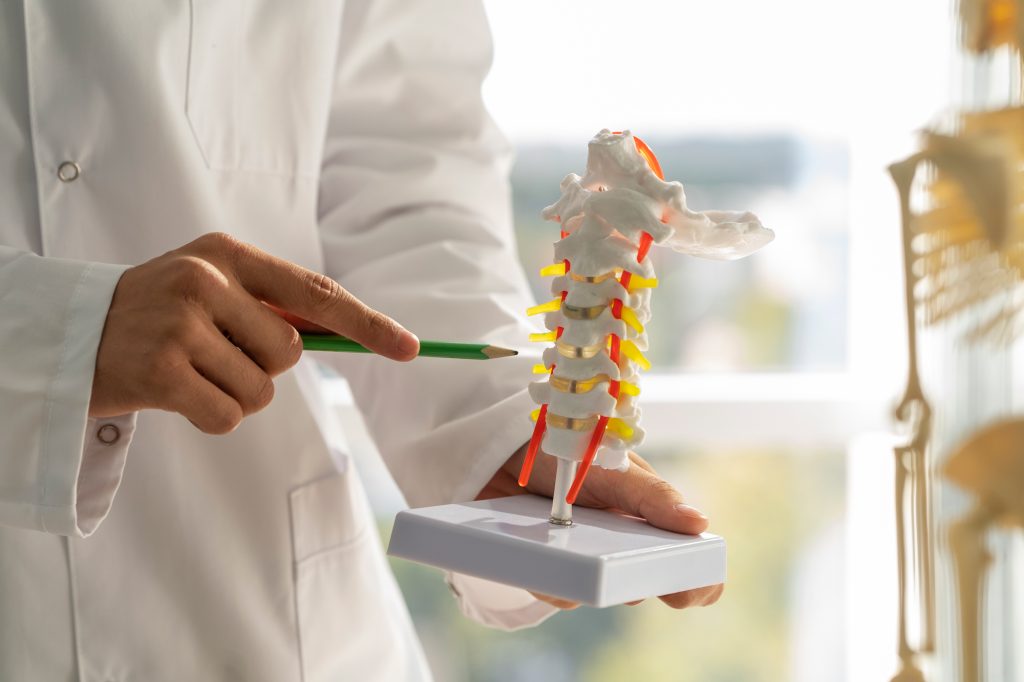 Kemik Erimesi (Osteoporoz) Nedir? Belirtileri ve Korunma Yöntemleri